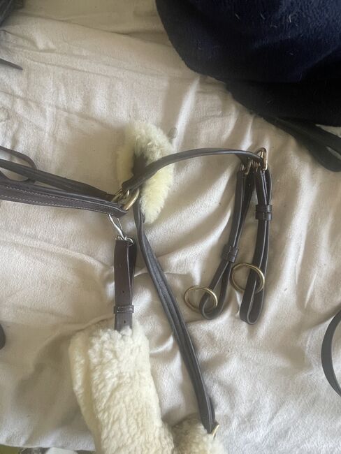 Vorderzeug kaltblut, Vorderzeug mit Lammfell, Kessy, Training Aids, Wilhelmshaven, Image 3