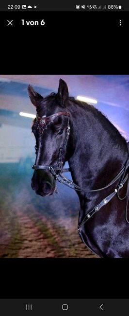 Vorderzeug spanisch Barock Prunk, Mona Osting , Saddle Accessories, Oberhausen 