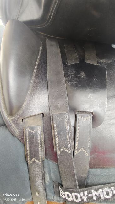 Sehr schöner klassischer Dressursattel von Amerigo 17" top Zustand, Amerigo  Basso, Katja Presch, Dressage Saddle, Sankt Koloman, Image 5