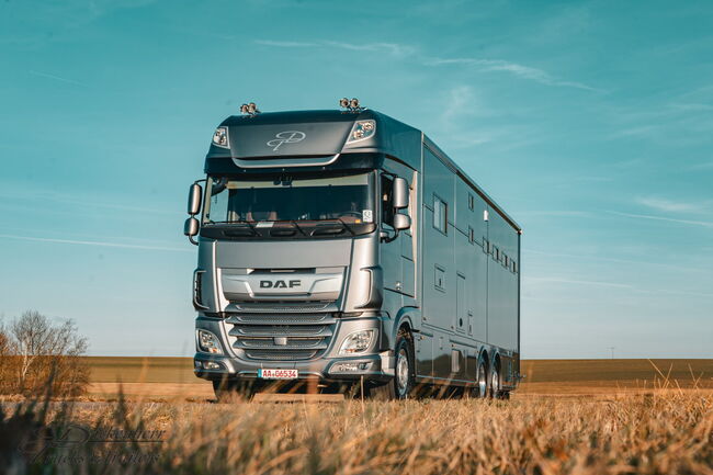 Top gebrauchte Pferdetransporter und Pferdeanhänger + Wohnabteil, Gerhard Strobel (Dickenherr Trucks und Trailers), Przyczepa konna, Baden-Württemberg - Unterschneidheim, Image 16