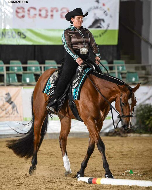 Top Hunter/Allround Prospect, Kerstin Rehbehn (Pferdemarketing Ost), Konie na sprzedaż, Nienburg, Image 4