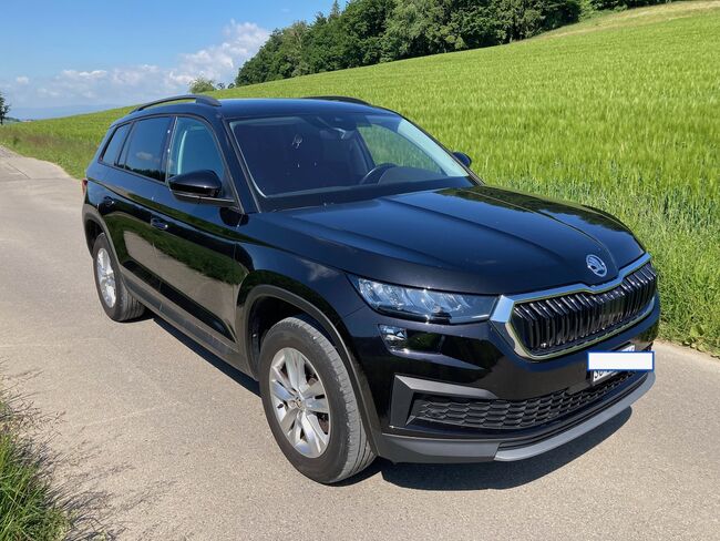 Topp-Zugfahrzeug, Skoda Kodiaq Ambition TDI SCR 4x4, Roland, Przyczepa konna, Tscheppach, Image 3