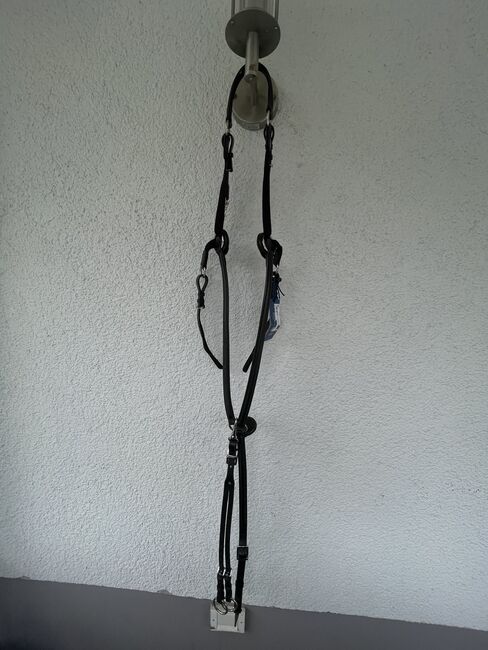 Passier Vorderzeug -ungebraucht-, Passier  Corvus, Daniela Gruber, Pomocnicze wodze, Brombachtal, Image 2