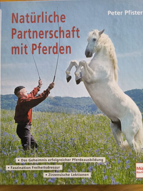Natürliche Partnerschaft mit Pferden, Bettina, Książki, Waiblingen