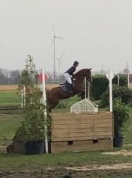 Lehrmeister Vielseitigkeit/Springpferd, B.M., Konie na sprzedaż, Großheide