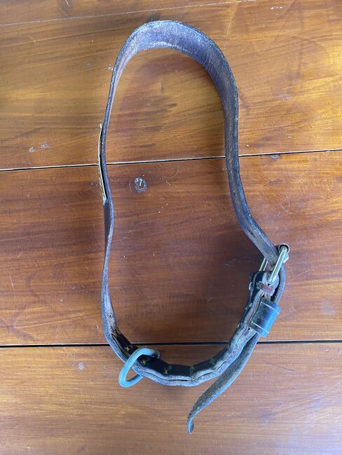 Halsriemen, Walter Kampmann , Halters, Oberzent 
