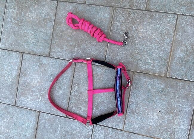 neon pinkes halfter mit strick, Emely Knoof, Halters, Trebsen