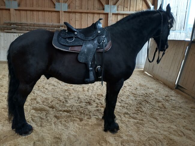 Neu: Schleese Westernsattel "Legacy", Schleese Legacy, Sonja, Westernsattel, Hausham