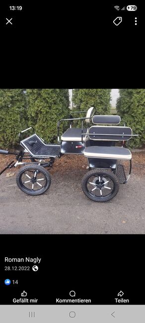 Neue Minishettykutsche mit Scheibenbremsen 90 kg leicht !, Trainingswagen, Heiko, Kutschen, Naumburg