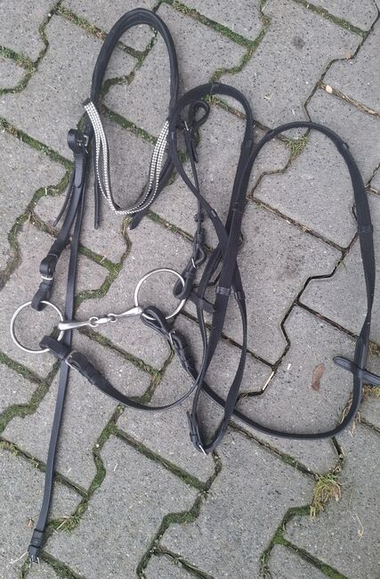 Neue Trense, HKM, Denise , Trensen, Berlin