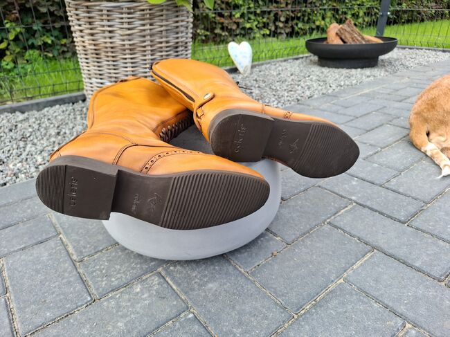 Neuwertige Reitstiefel/Dressurstiefel Celeris  Größe 40/41, Celeris , Christian , Reitstiefel, Wittmund, Abbildung 8