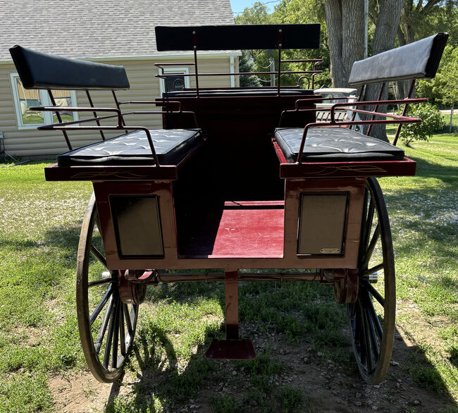 Never Used 6 Passenger Wagonette, Robert Carriages MaryAnne Girard, MaryAnne Girard, Kutschen, Plattsmouth, Abbildung 2