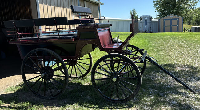 Never Used 6 Passenger Wagonette, Robert Carriages MaryAnne Girard, MaryAnne Girard, Carriages, Plattsmouth, Image 3