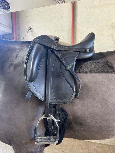 NEU dressursattel amerigo, Amerigo  Cervia Siena Pinerolo, Elisabeth , Dressage Saddle, Memmingen , Image 2