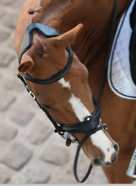 NEU - Antares Precision Dressurzaum Gr. WB, Antares Precision , Schwedeneisbecher85, Bridles & Headstalls, Dresden, Image 13