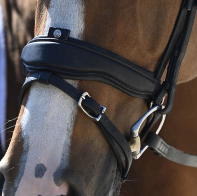 NEU - Antares Precision Dressurzaum Gr. WB, Antares Precision , Schwedeneisbecher85, Bridles & Headstalls, Dresden, Image 14