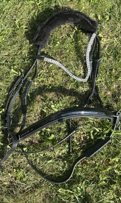 Neuer Zaum, Horze  Eleganter neuwertiger Zaum, Alexandra, Bridles & Headstalls, Gränichen
