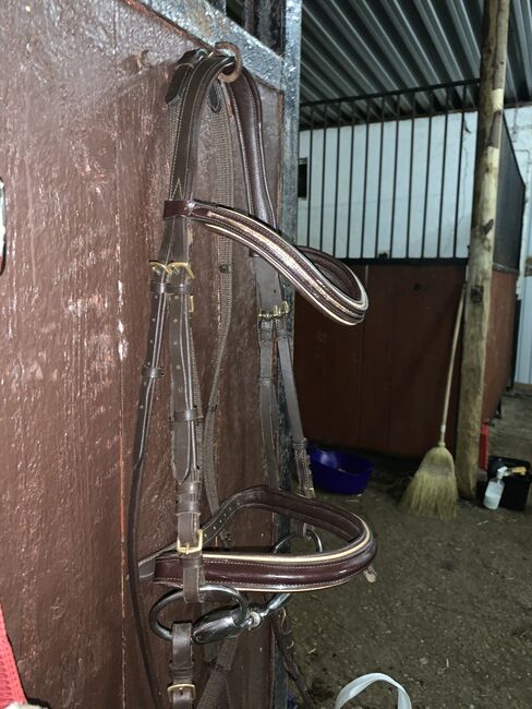 Neue Braune Trense, Covalliero, Denise Drosse , Bridles & Headstalls, Kyllburg, Image 2