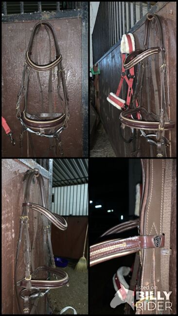 Neue Braune Trense, Covalliero, Denise Drosse , Bridles & Headstalls, Kyllburg, Image 5