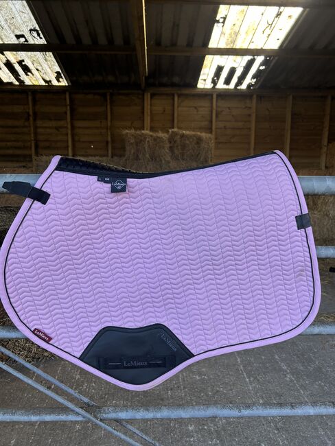 New colour! Lemieux fondant LARGE, Lemieux  Lemieux essence cc pad. , Emilie Barnett, Other Pads, Welwyn Hatfield