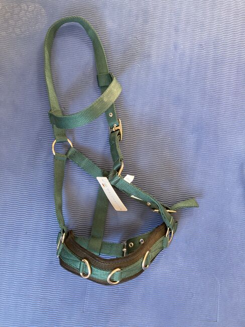 Neuer Kappzaun von Waldhausen, Waldhausen Cavesson Economic, Natalie Klamt, Lunging, Schalkau