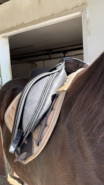 NEW Dressage sadlle Euroriding Emilio by Prestige, Euroriding by Prestige  Emilio by Prestige, Tonja, Dressursattel, Maribor, Abbildung 5