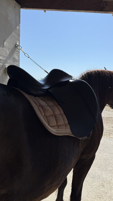 NEW Dressage sadlle Euroriding Emilio by Prestige, Euroriding by Prestige  Emilio by Prestige, Tonja, Dressage Saddle, Maribor, Image 3