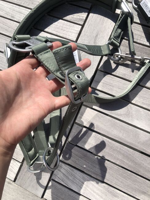 NEU ESKADRON Halfter Set Strick Ashgreen Platinum 2022 W WB grün olive, Eskadron, Hermine, Halters, Bremen, Image 5