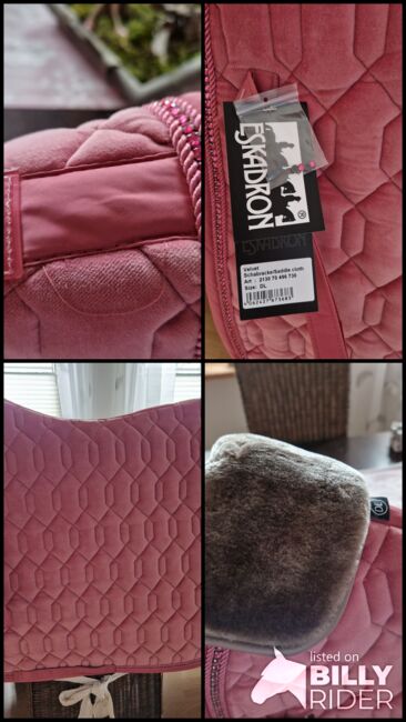 Neue Eskadron Velvet Crystal Rouge WB/ DR, Eskadron Velvet Rouge, Silke, Dressage Pads, Rieps, Image 5