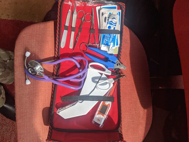 New Field emergency equine wound kit plus, Alexander Shaun Rooken-smith, Sattelkammer & Boxenausstattung, Bagworth, Abbildung 5