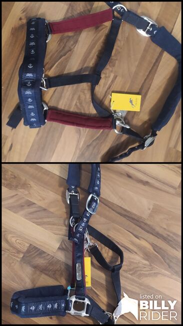 Neues Halfter von Felix Bühler, Felix Bühler , Saskia , Halters, Neuhausen auf den Fildern, Image 3