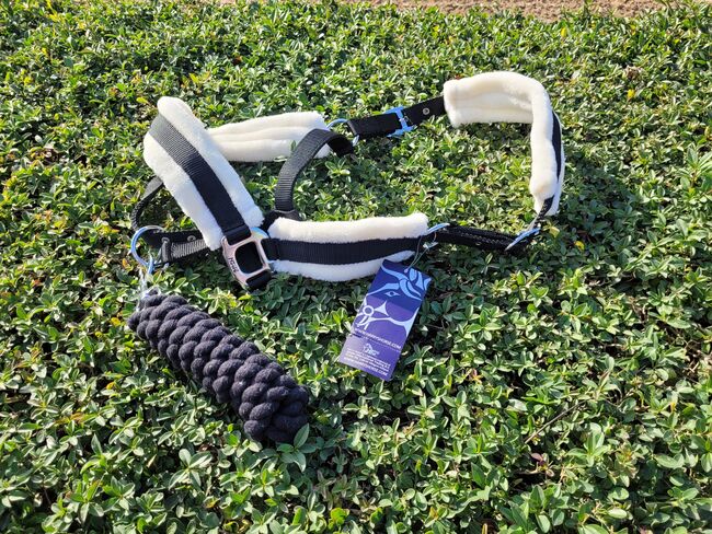 Neues Harrys Horse Halfter Set schwarz mit Plüsch Full, Harrys Horse, Jojo, Halters, Berlin