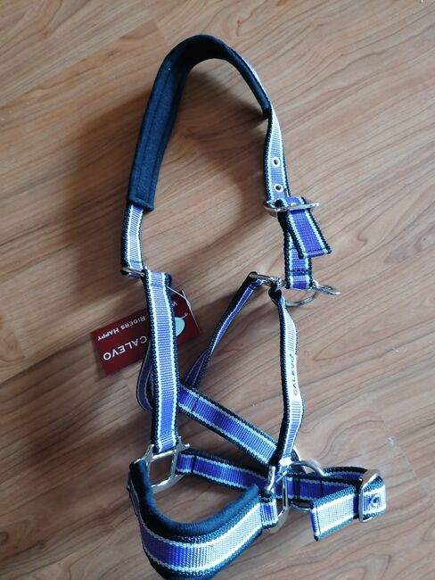 Neues Halfter, Calevo, Daniela , Halters, Westerstede, Image 5