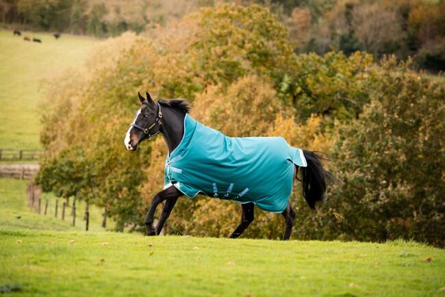NEU: Horseware Amigo Bravo 12 Wug Turnout, 250 g, High Neck, 140, Horseware Amigo Bravo 12 Wug Turnout, Jula, Horse Blankets, Sheets & Coolers, Hamburg , Image 2