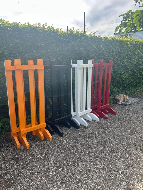 NEW Jump wings, Tina, Reitplatz, South Willesborough, Abbildung 4