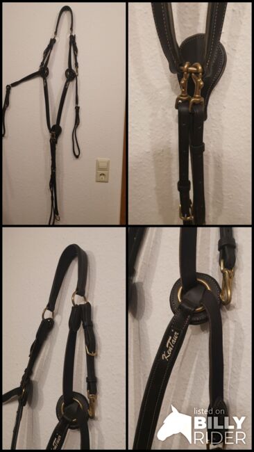 *Neu* KenTaur Vorderzeug 5-Punkt, KenTaur, Chiara , Saddle Accessories, Villingendorf , Image 6