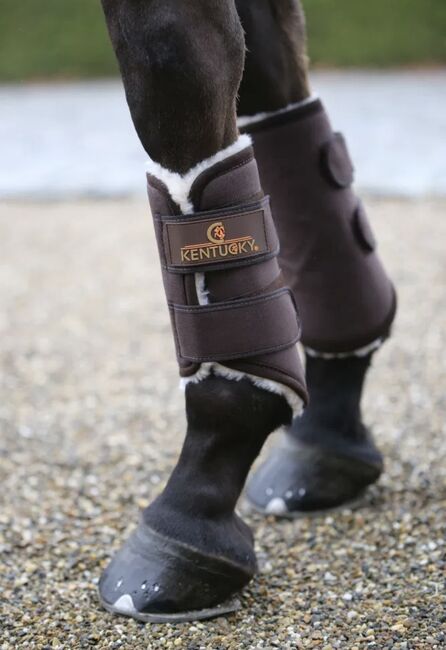 NEU Kentucky Fellgamaschen Solimbra braun WB vorne, Kentucky Solimbra, Sell_It_All, Tendon Boots, Ahrweiler