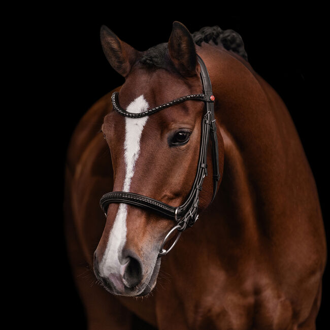 Neuer Kieffer Gebissloser Zaum inkl. Zügel Ultrasoft Ava Vollbl., Kieffer Avia, Moni, Bitless Bridles, Attenkirchen, Image 2