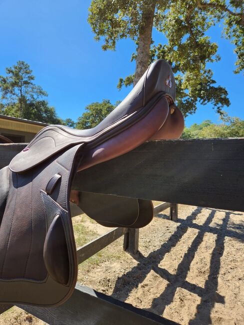 New Leather Saddle Bundle - Open to offers, Saint Spirit Berlin, Florencia, Jumping Saddle, Houston, Image 4