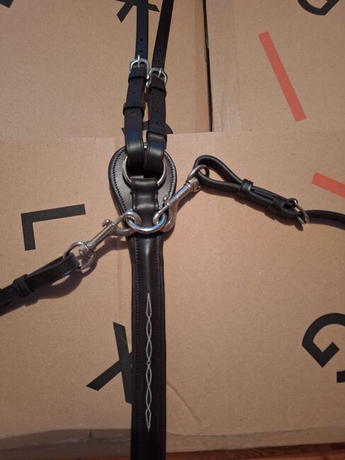 Neues Martingal, Priska, For Horses, Ried (Muotathal)