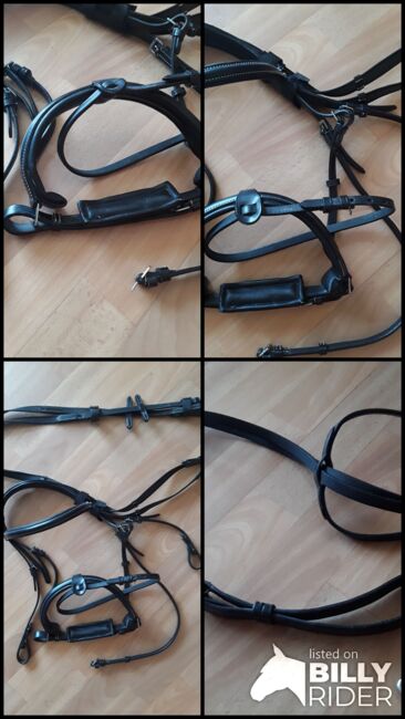 NEU nicht geritten Zügel Trense Martingal Leder WB Full, Ellen, Bridles & Headstalls, Magdeburg, Image 9
