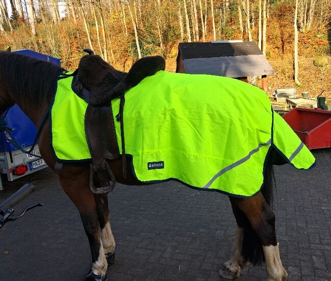 NEU+OVP! BUSSE AUSREITDECKE SHINE 100g/ 145cm! Westernsattel mögl, Busse Shine 100g, Claudia Latsch, Horse Blankets, Sheets & Coolers, Meinerzhagen