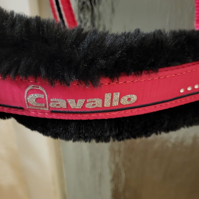 Neues, pinkfarbenes Cavallo-Halfter, WB, Cavallo, Nicola Röhring , Halters, Löhne, Image 2