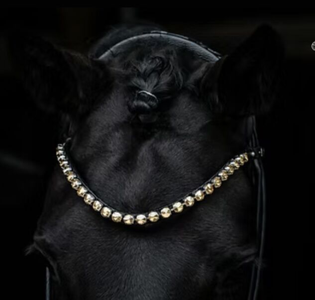 NEU Royal H. Big Rocks Stirnriemen geschwungen gold / schwarz Gr. WB, Royal H.  Big Rocks, Sell_It_All, Browbands, Ahrweiler, Image 2