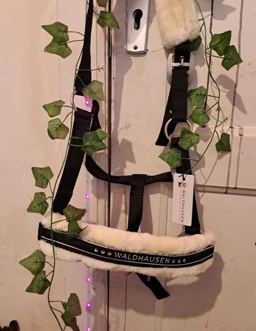 Neu halfter verschiedene set glitzer fell, Waldhausen Showmaster Felix Brühler , Jolina, Halters, Lübeck