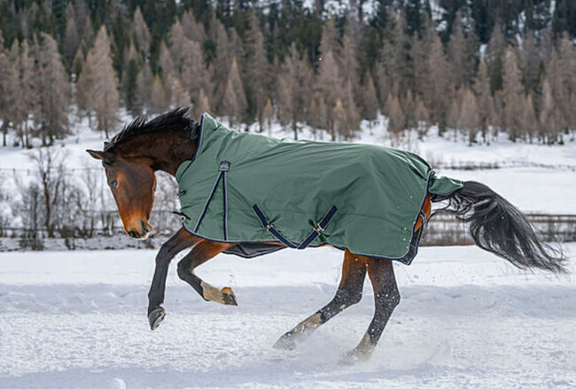 Neu THERMO MASTER Highneck Pferdedecke Jesco II, 200g, Petrol, Gr.125 (OVP), Thermo Master Jesco II, Björn Lakeberg, Horse Blankets, Sheets & Coolers, Hatten, Image 5