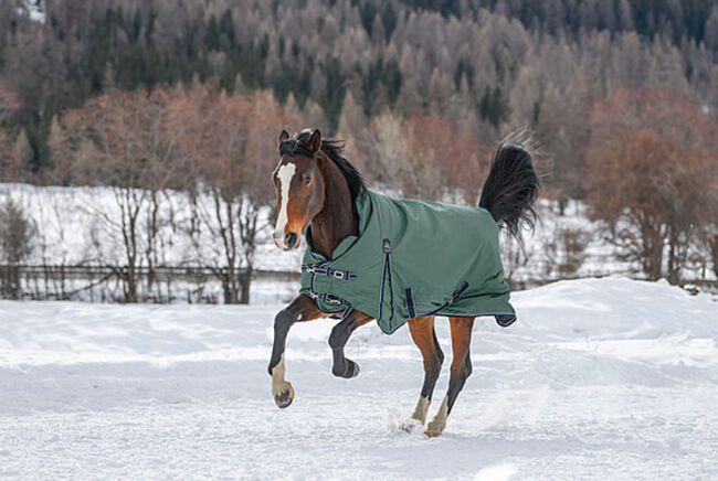 Neu THERMO MASTER Highneck Pferdedecke Jesco II, 200g, Petrol, Gr.125 (OVP), Thermo Master Jesco II, Björn Lakeberg, Horse Blankets, Sheets & Coolers, Hatten, Image 6