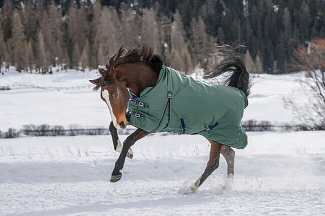 Neu THERMO MASTER Highneck Pferdedecke Jesco II, 200g, Petrol, Gr.125 (OVP), Thermo Master Jesco II, Björn Lakeberg, Horse Blankets, Sheets & Coolers, Hatten, Image 8