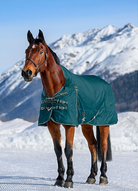 Neu THERMO MASTER Highneck Winter Outdoor Pferdedecke Jesco II, 200g, Petrol, Gr.125 (OVP), Thermo Master Jesco II, Björn Lakeberg, Horse Blankets, Sheets & Coolers, Hatten, Image 3