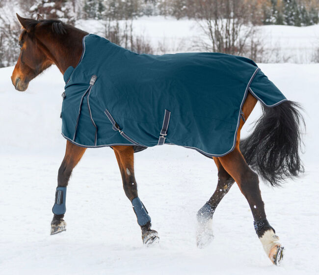 Neu THERMO MASTER Highneck Winter Outdoor Pferdedecke Jesco II, 200g, Petrol, Gr.125 (OVP), Thermo Master Jesco II, Björn Lakeberg, Horse Blankets, Sheets & Coolers, Hatten, Image 5